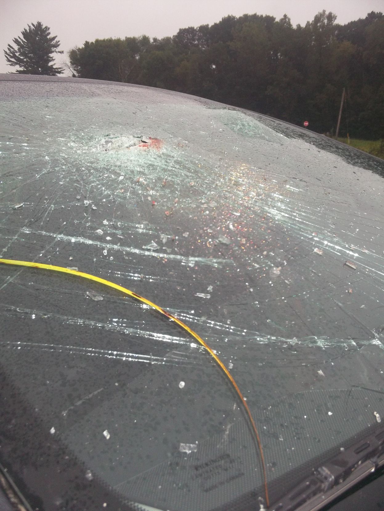 The windshield